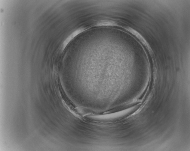 X0000085291337200703231823