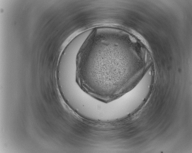 X0000085291338200703231823