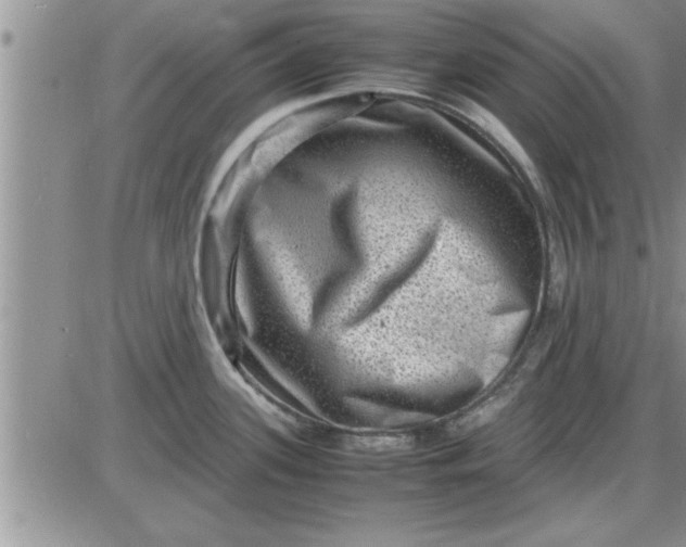 X0000085291339200703231823