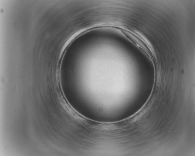 X0000085291340200703231823