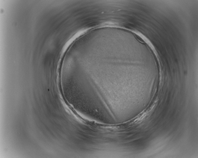 X0000085291341200703231823