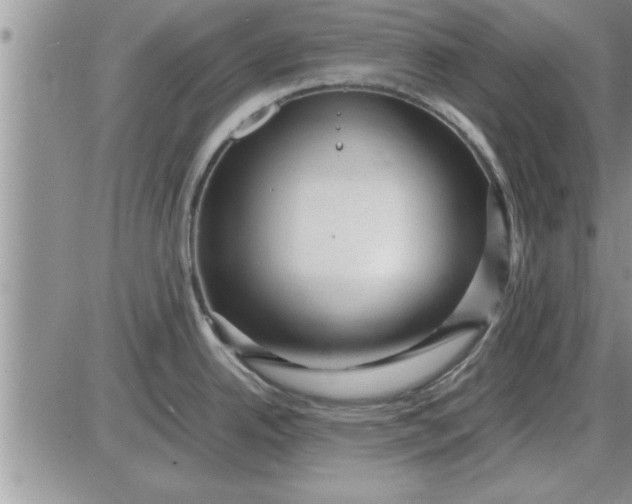 X0000085291342200703231823