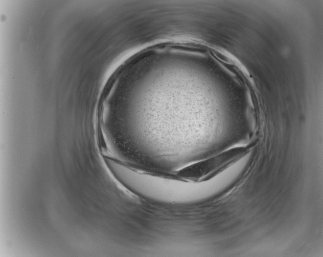 X0000085291343200703231823