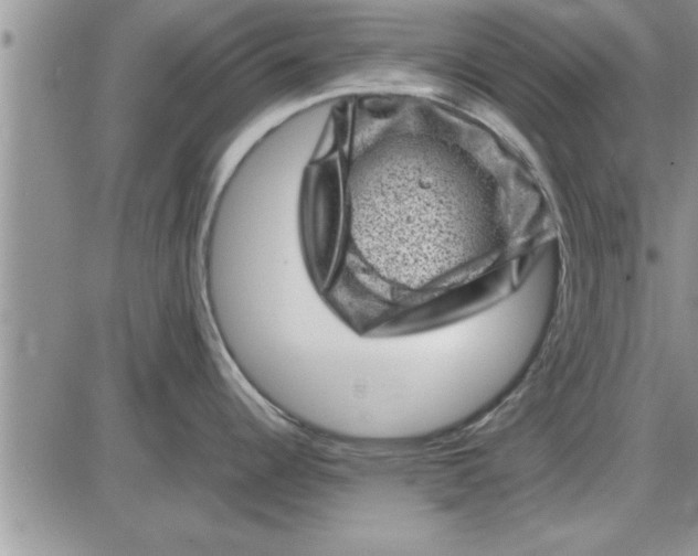 X0000085291344200703231823