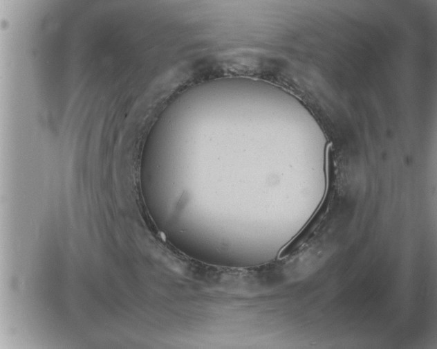 X0000085291345200703231822