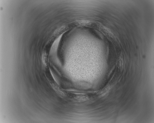 X0000085291346200703231822