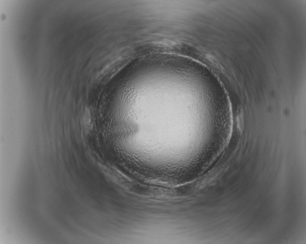 X0000085291347200703231822