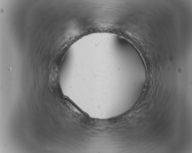 X0000085291349200703231822