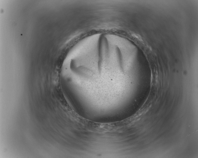 X0000085291350200703231822