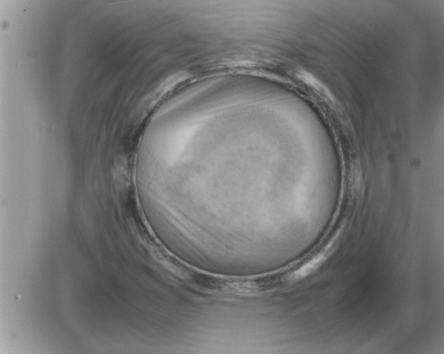 X0000085291353200703231822