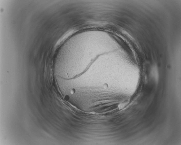 X0000085291354200703231822