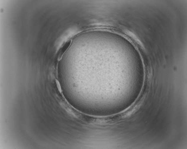 X0000085291357200703231822