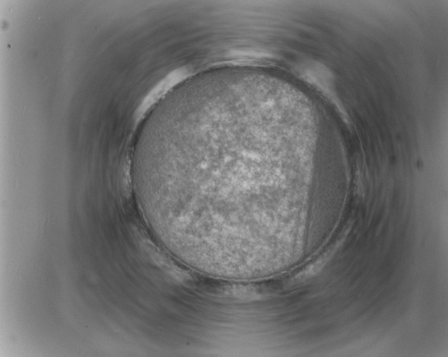 X0000085291362200703231822