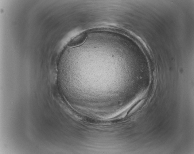 X0000085291363200703231822