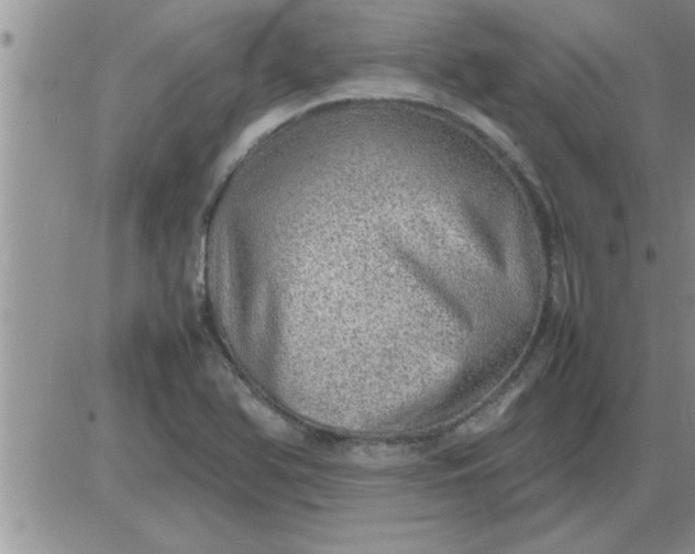 X0000085291366200703231822