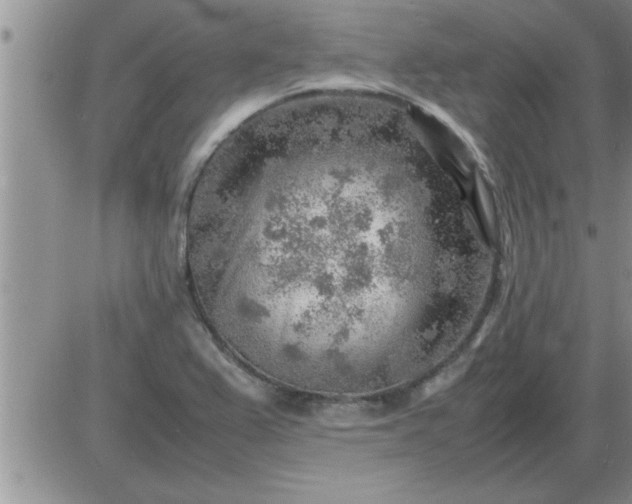 X0000085291367200703231822