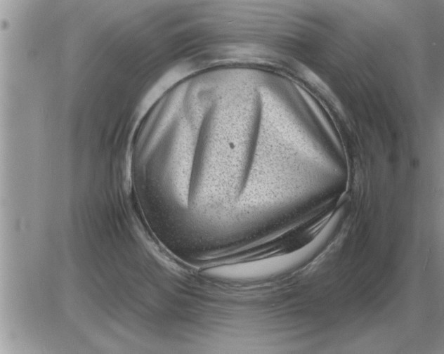 X0000085291370200703231822