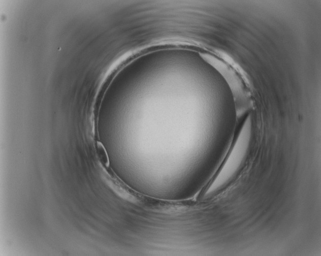 X0000085291372200703231822