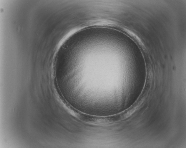 X0000085291375200703231822