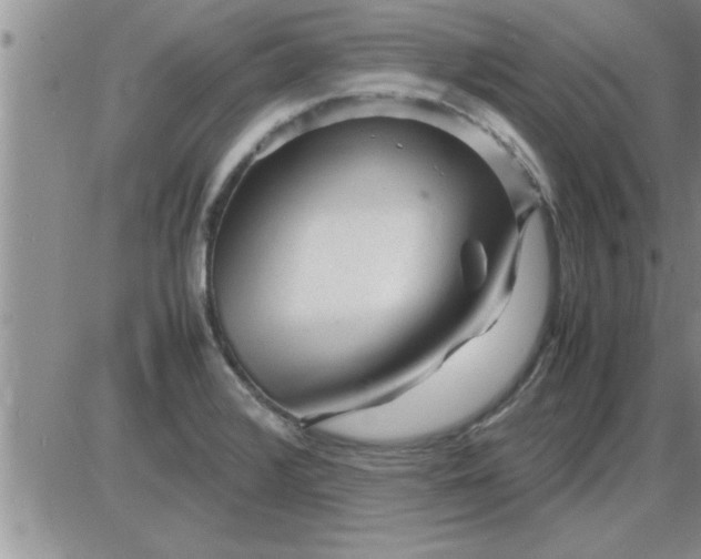 X0000085291376200703231822