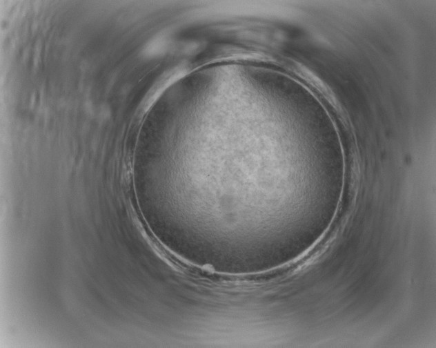 X0000085291377200703231822