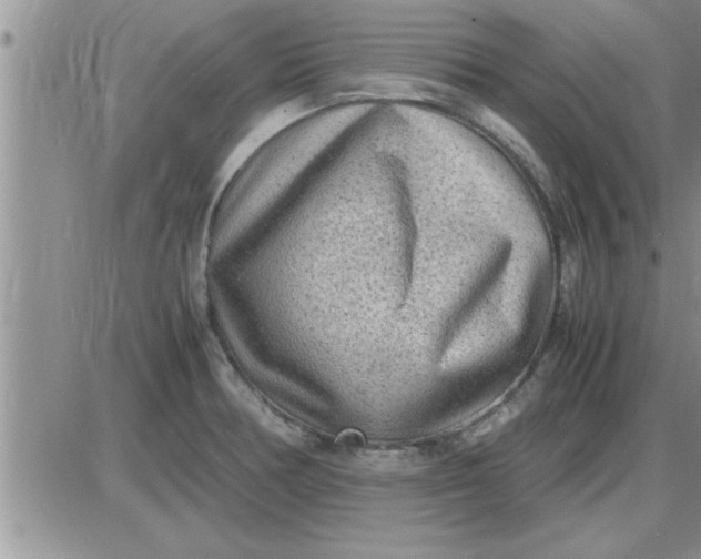 X0000085291378200703231822