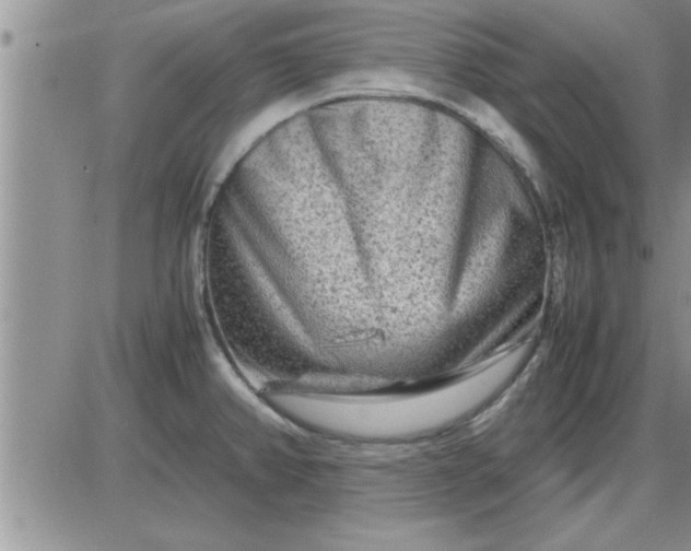 X0000085291382200703231822