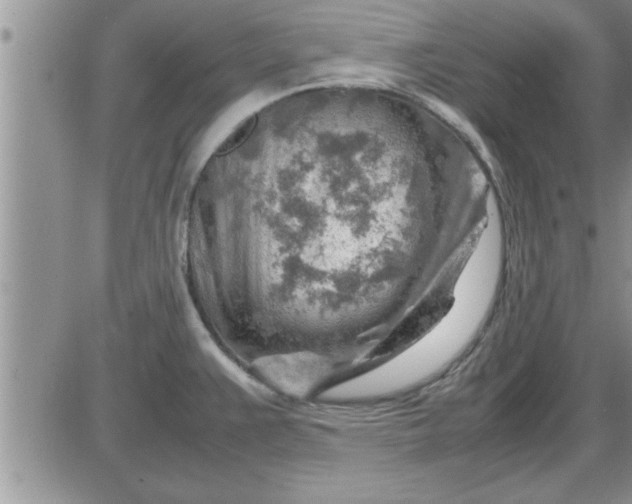 X0000085291383200703231822