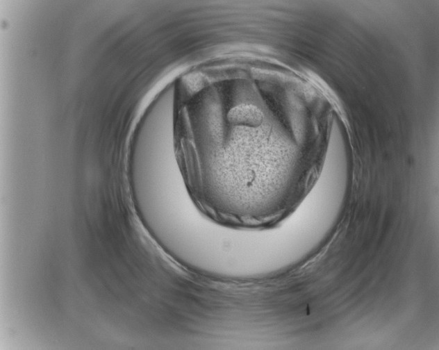 X0000085291384200703231821