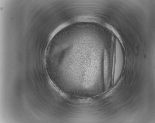 X0000085291386200703231821