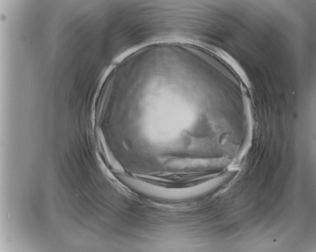 X0000085291388200703231821