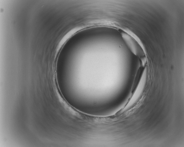 X0000085291389200703231821