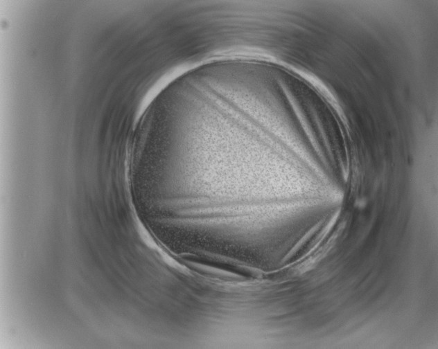 X0000085291390200703231821