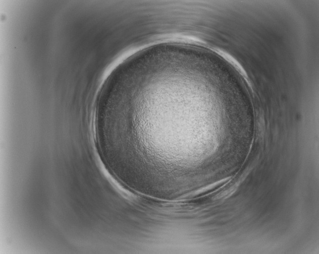 X0000085291391200703231821