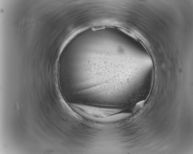 X0000085291392200703231821