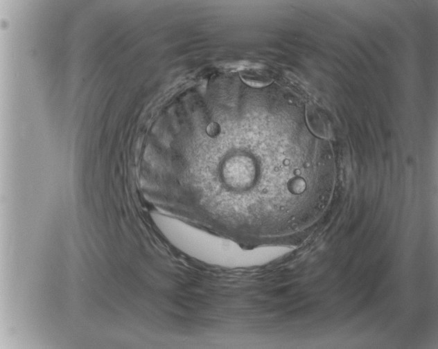 X0000085291393200703231821