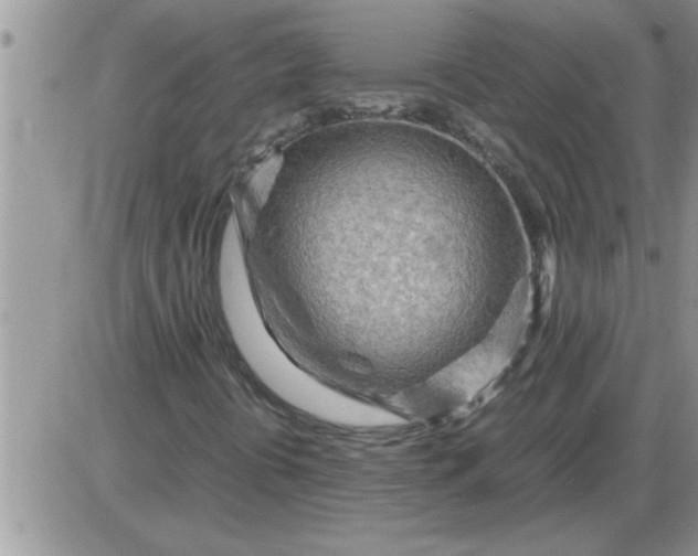 X0000085291394200703231821