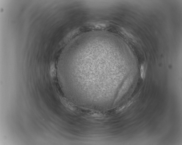 X0000085291395200703231821