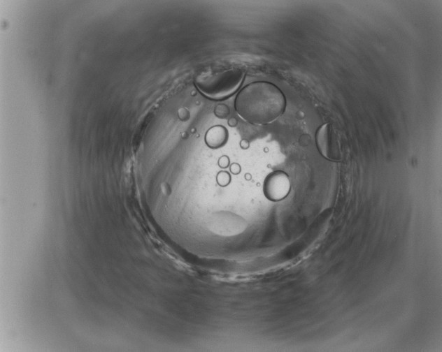 X0000085291397200703231821