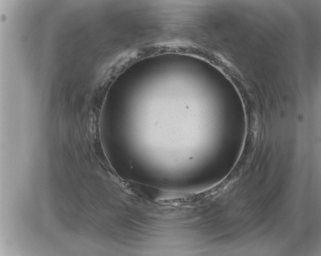 X0000085291398200703231821