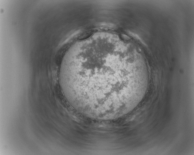 X0000085291399200703231821