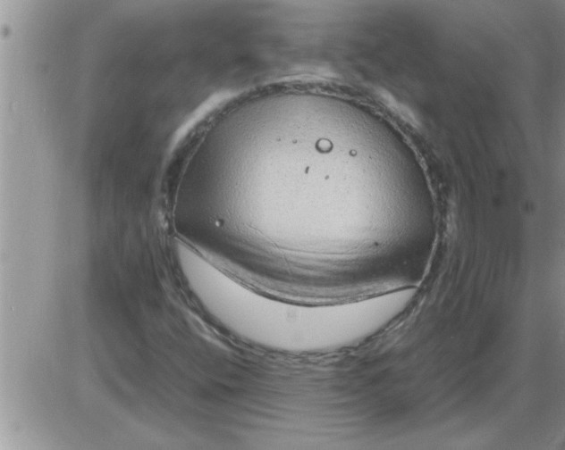 X0000085291400200703231821