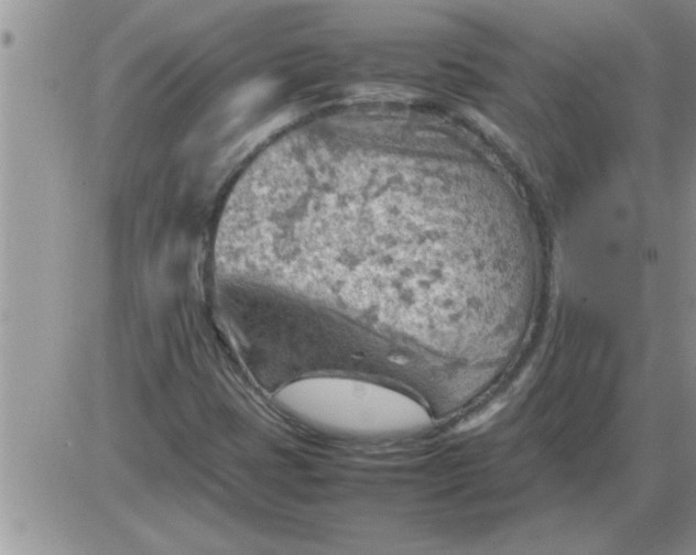 X0000085291401200703231821