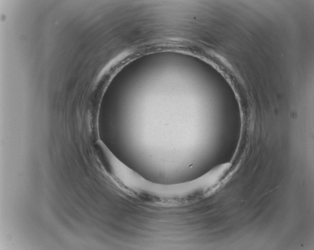 X0000085291402200703231821