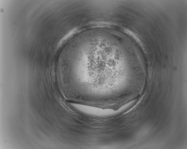 X0000085291403200703231821