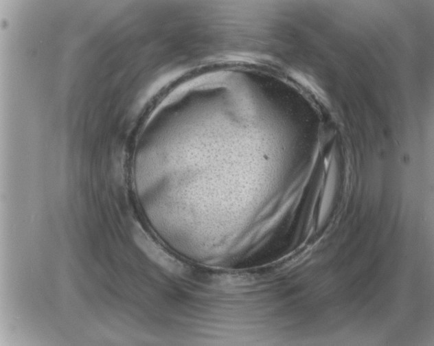 X0000085291404200703231821