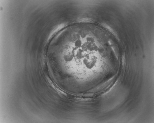 X0000085291405200703231821