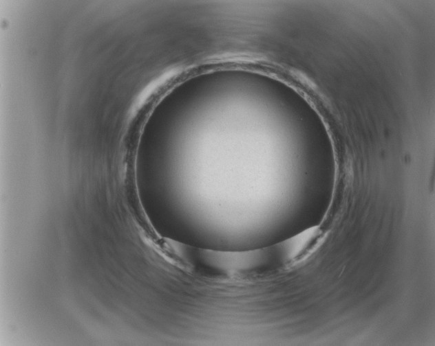 X0000085291406200703231821