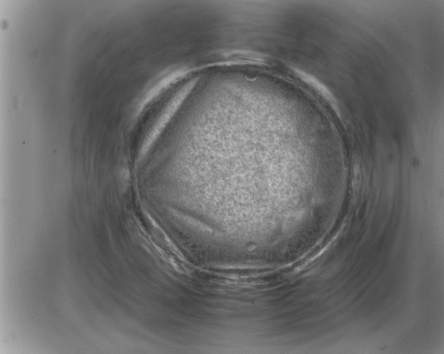 X0000085291407200703231821