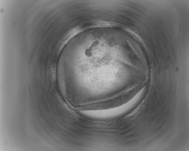 X0000085291409200703231821